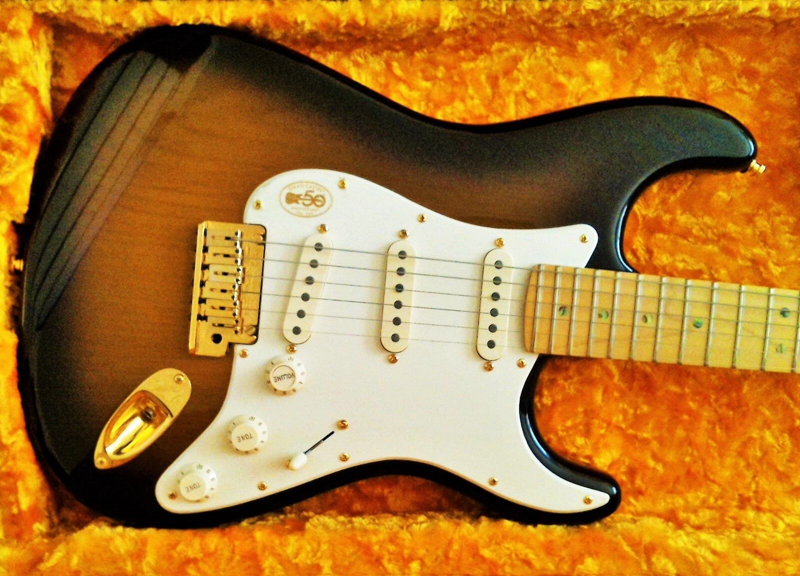 Fender Stratocaster a musicians best Friend